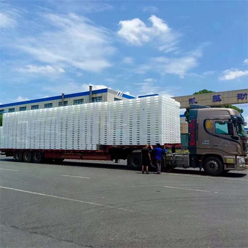 茂南区黄埔区物流：多元服务与高效运输线路探秘