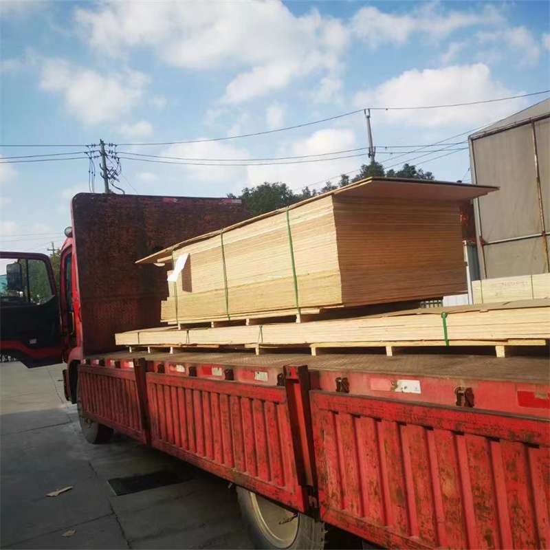茂南区通化市物流运输：多元服务与高效线路探秘