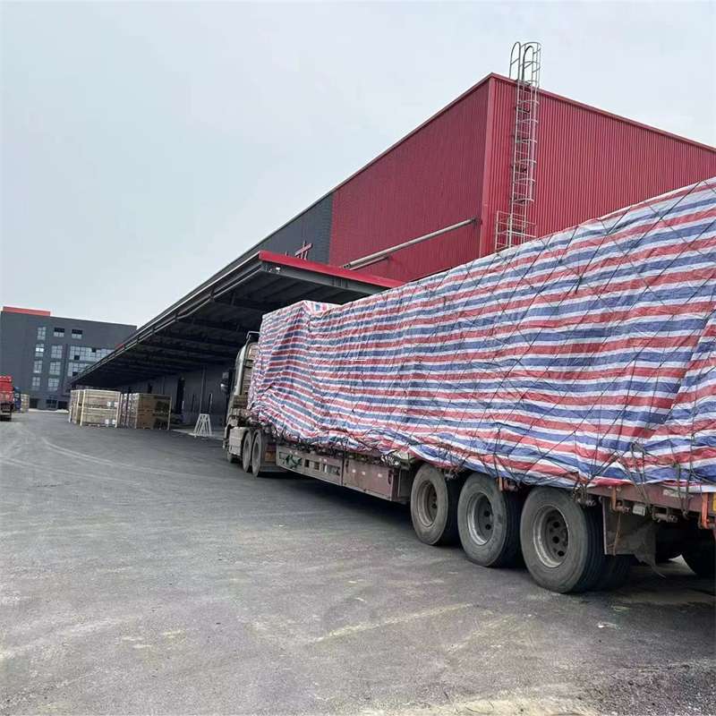 茂南区师宗县物流：多元运输服务与高效线路探索